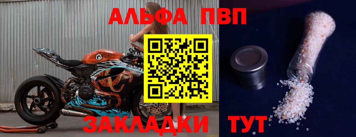 Альфа ПВП СК КРИС Кандалакша