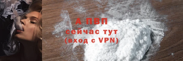 дживик Надым