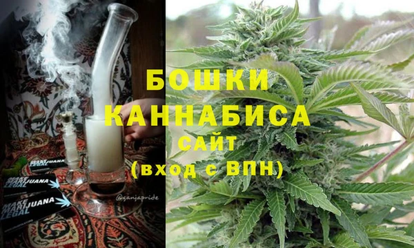 дживик Надым