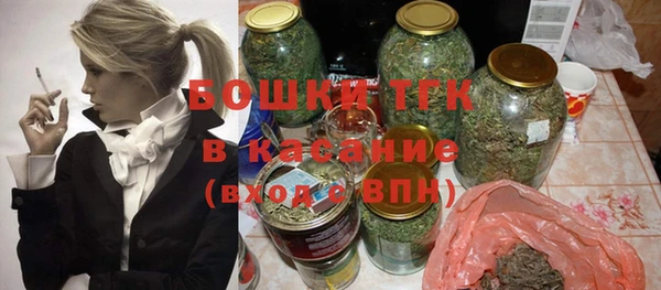 дживик Надым