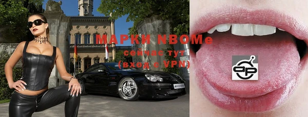 дживик Надым