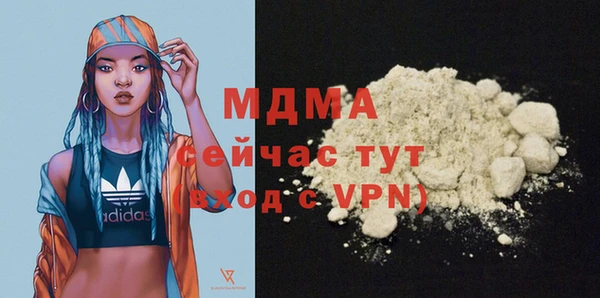 дживик Надым