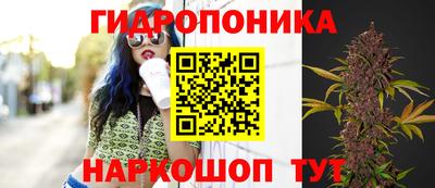apvp Будённовск