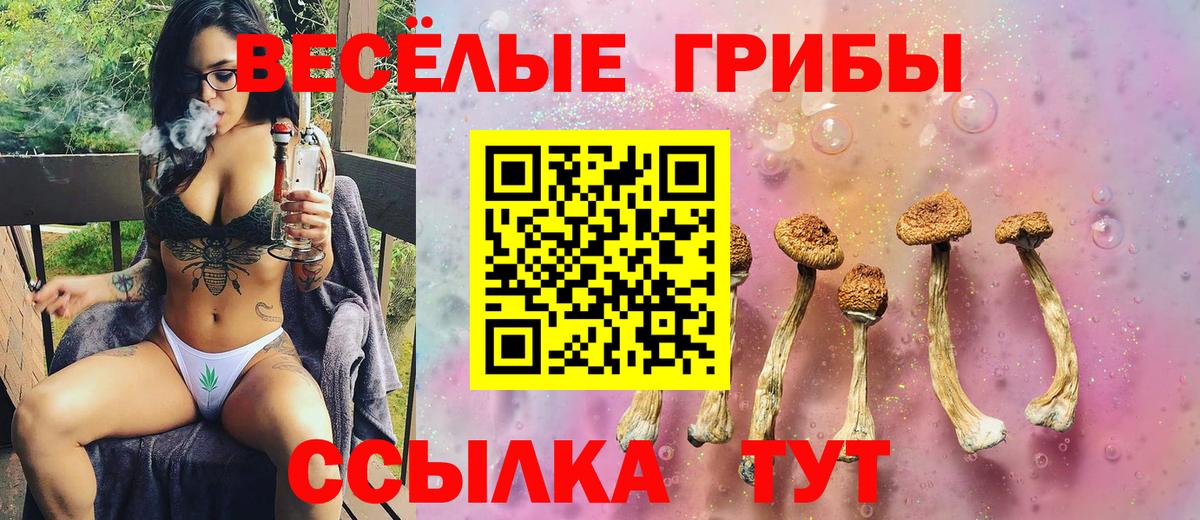 Кандалакша  Галлюциногенные грибы мицелий  Вход с VPN  Псилоцибиновые грибы Psilocybe 